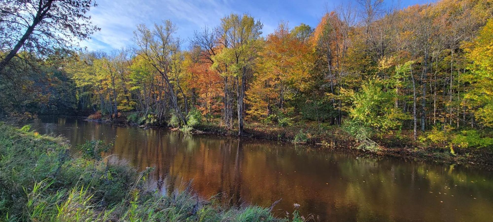 Black River Crossing Bed & Breakfast Bessemer Buitenkant foto